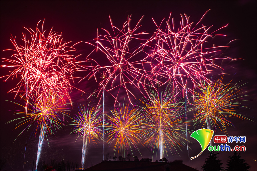 西安曲江新区:向着新春绽放