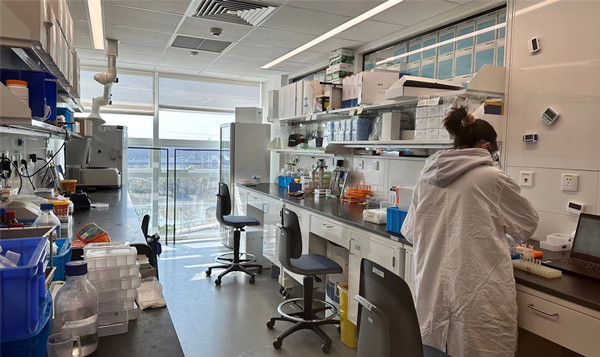 跨国企业在中国 | “在中国为全球”,上海本土创新加速走向世界