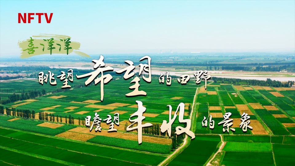从春天出发，一刻也不耽误！大年初七广东召开全省高质量发展大会