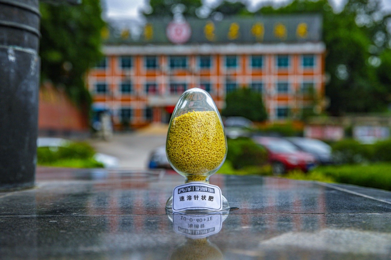 西洋实业 | 贾启彬:聚焦针状肥 赋能农业高质量发展 西洋实业 | 贾启彬:聚焦针状肥 赋能农业高质量发展