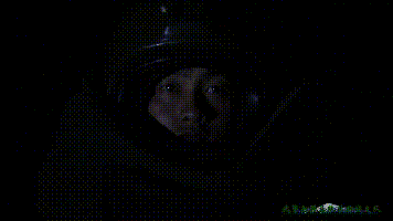 央视新闻：最帅“成人礼”！父母观看武警特战终极考核感动落泪