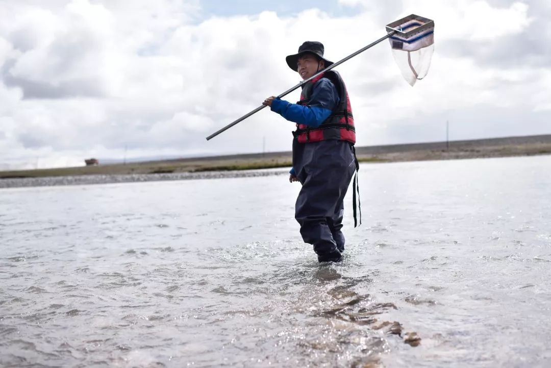 [新华每日电讯]江源科考队12次综合考察：“无人无路无图”，也要