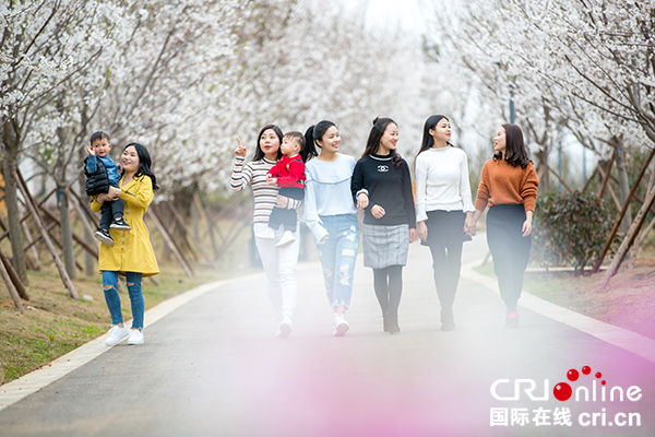 图片默认标题_fororder_游客观赏眉山樱花（眉山市委宣传部供图）-(2)