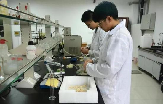 高校男生自制指甲油送女生：废烟头中提取原料