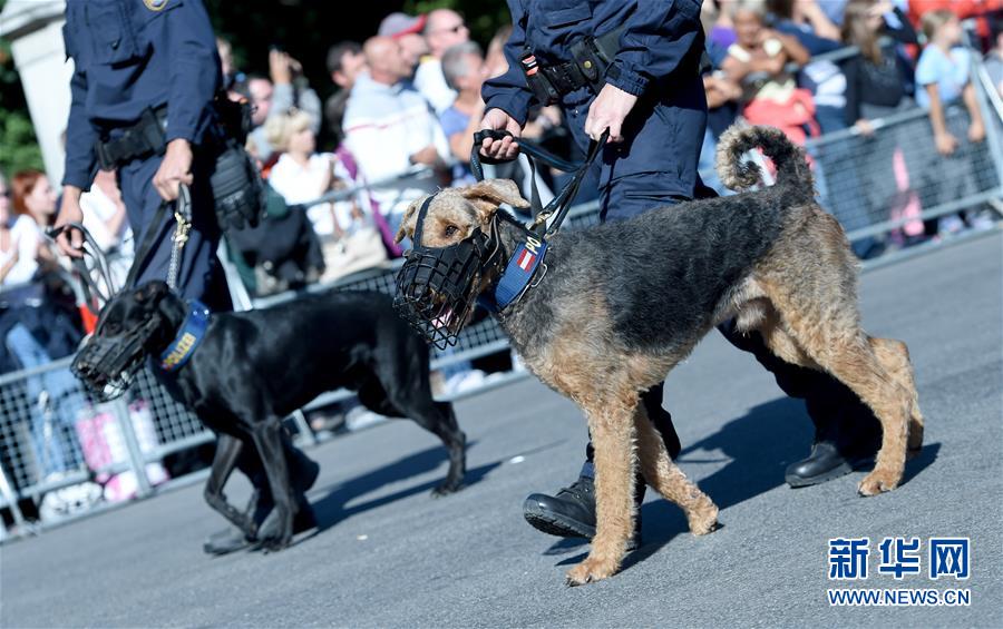 「新华网」维也纳警察成立150周年大巡游