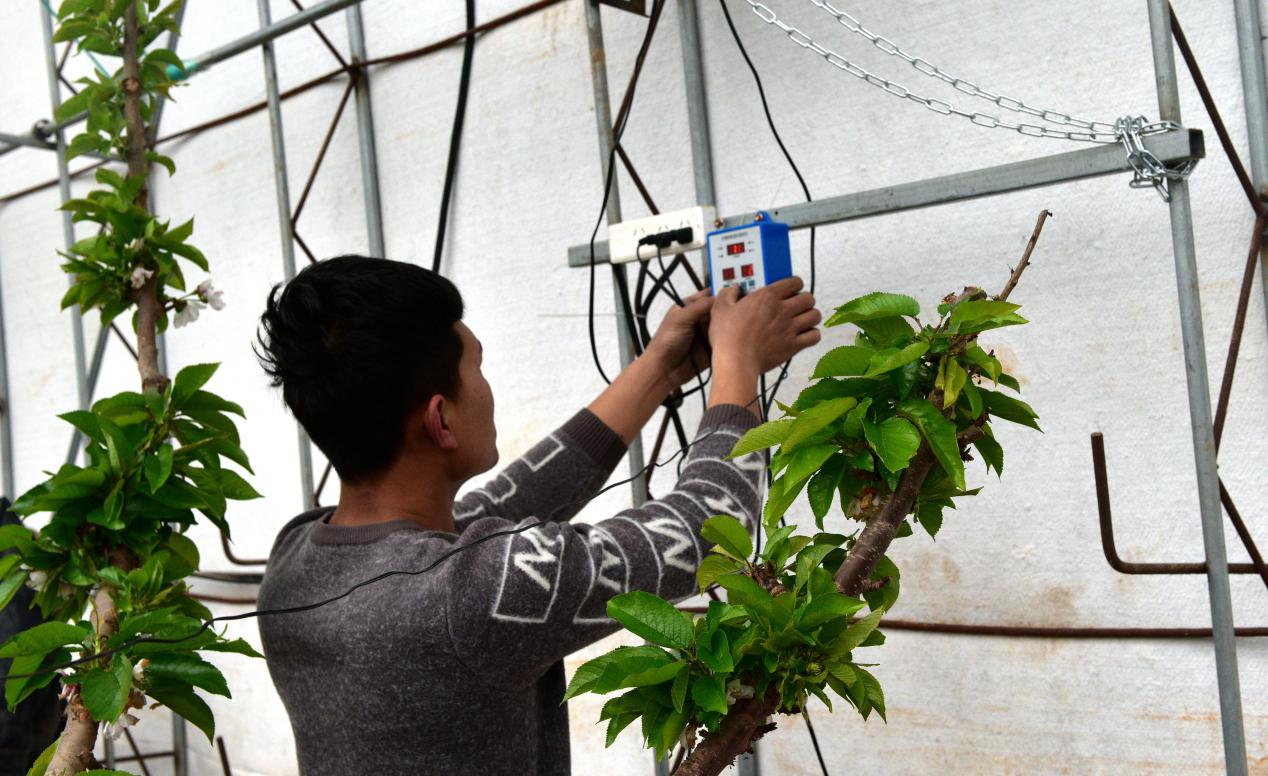 图片默认标题_fororder_泊头3