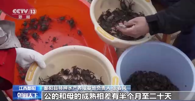 万象“耕”新丨春回大地 春耕里的“数字产业”