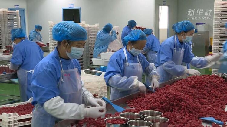 强信心 开新局丨一个西南小镇的“高速”转身