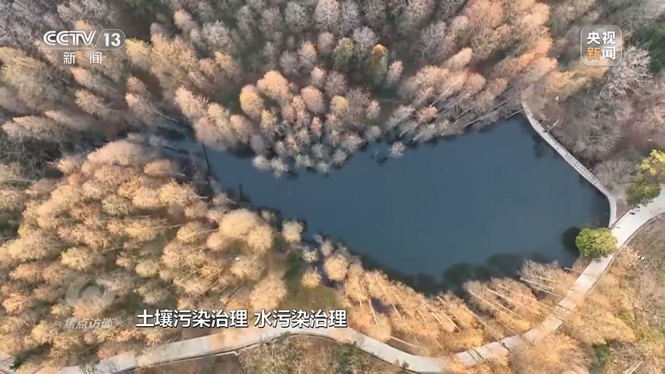 tp钱包怎么提现视频-tp钱包币安链怎么卖币-以太坊和比特币区块链钱包插图21