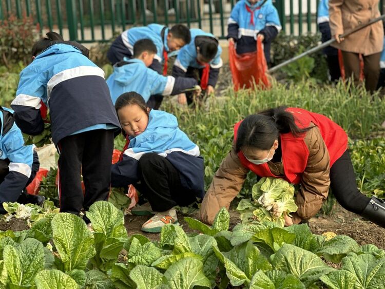 让雷锋精神在新时代绽放更加璀璨的光芒——全国各地第60个学雷锋纪念日活动综述