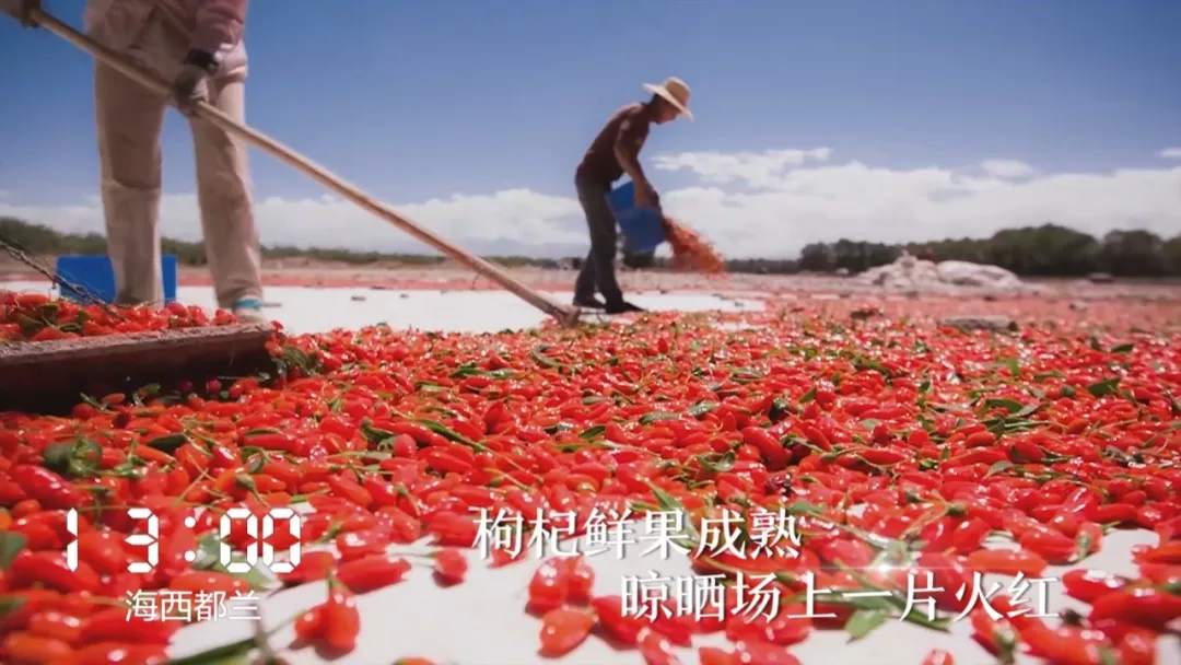 [人民日报]一天24小时，青海在发生什么