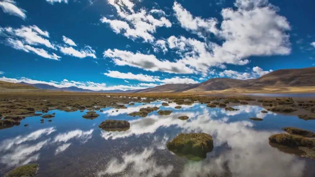 [人民日报]一天24小时，青海在发生什么