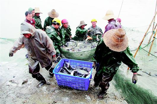 牺牲在工作一线的村党支部书记翟昌运……近日,洪湖市举行"学典型,守