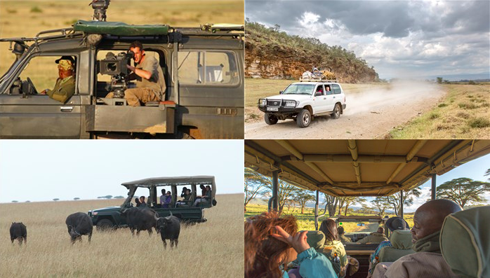 非洲观察丨中国游客重返肯尼亚 “动物王国”重振旅游经济