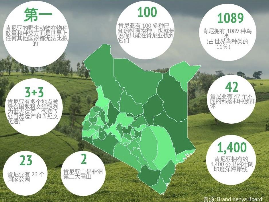 非洲观察丨中国游客重返肯尼亚 “动物王国”重振旅游经济