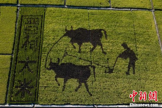 图片默认标题_fororder_200x133_4135208651164df78cf13c6b80ff7ac9