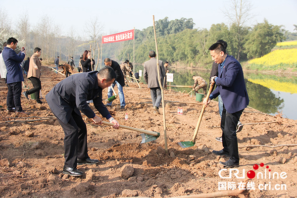 图片默认标题_fororder_植树现场（摄影-杨梦婧）