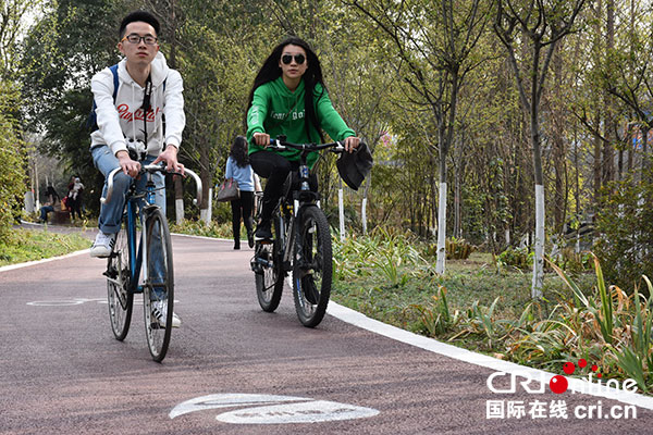 图片默认标题_fororder_3