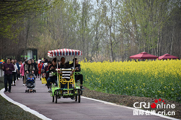 图片默认标题_fororder_4