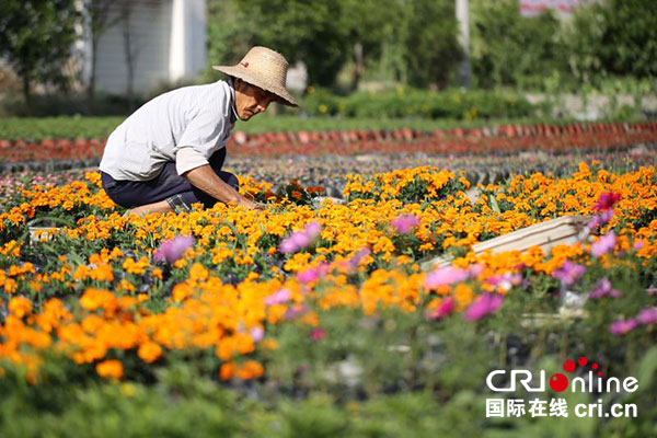 图片默认标题_fororder_3