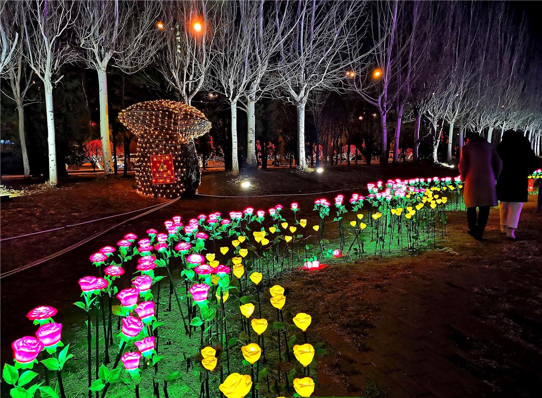 璀璨夜景“靓”青城_fororder_3