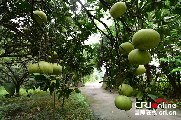 图片默认标题_fororder_4