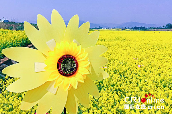 图片默认标题_fororder_2