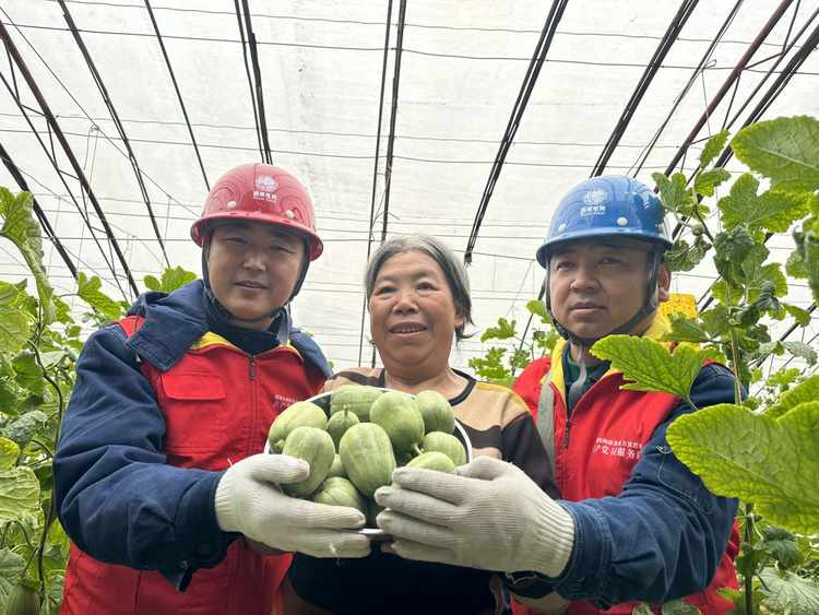 国网榆林供电公司:电力赋能特色产业发展_fororder_图片1