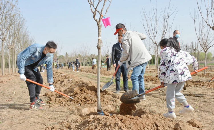 “绿动秦汉‘植’等你来” 秦汉新城举行2023年春季植树活动_fororder_图片2