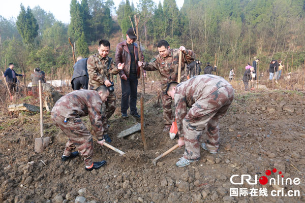 图片默认标题_fororder_NL4B1584