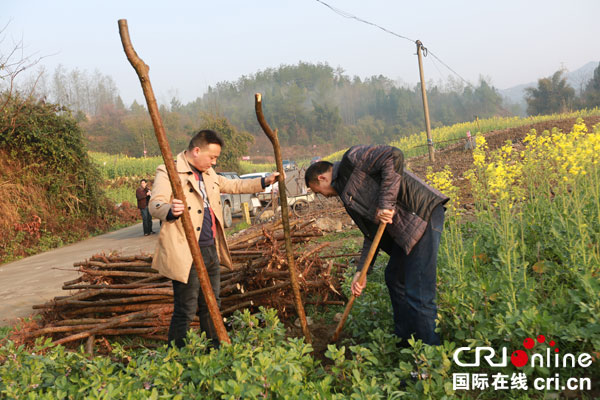 图片默认标题_fororder_NL4B1562