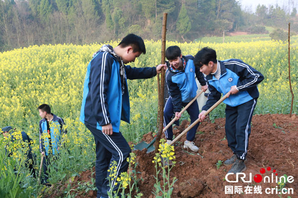 图片默认标题_fororder_NL4B1599