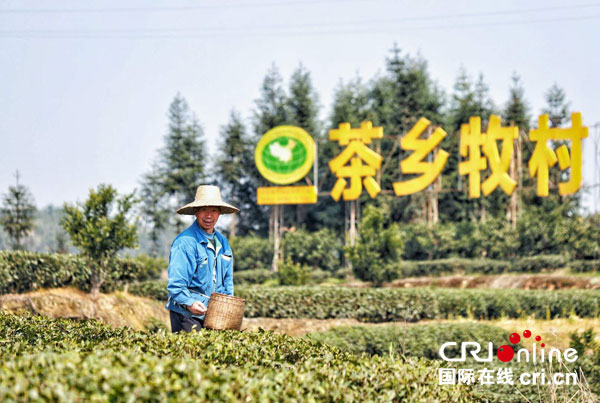 图片默认标题_fororder_2