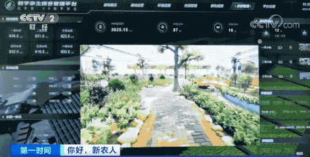 你好,新农人