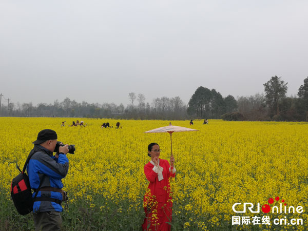图片默认标题_fororder_游客置身花海，拍照留念。摄影：邱美智