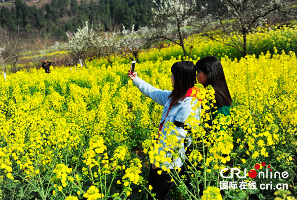 图片默认标题_fororder_1