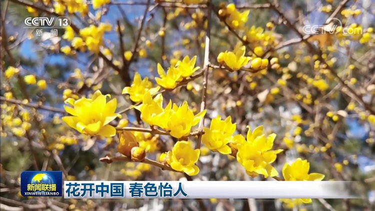 tp钱包收款二维码-tp钱包观察模式问题-最受欢迎的数字货币钱包--tokenPocket钱包【TP钱包】下载-TP钱包中文版-tokenPocket官网