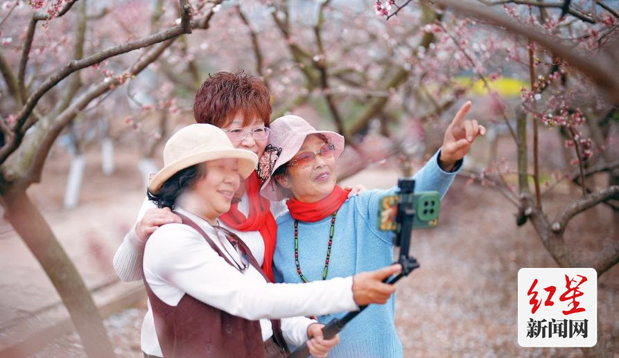 (转载)杏花村赏花踏春客流超20万 以花为媒助力乡村振兴