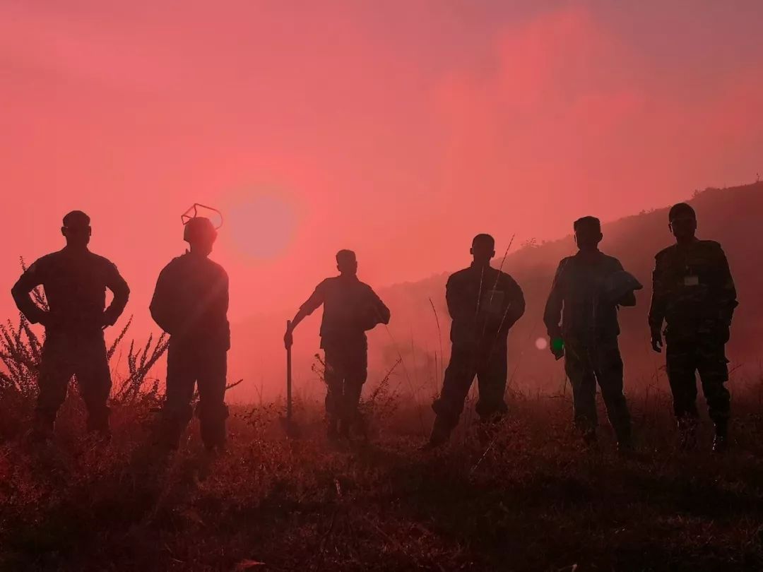 #解放军报#这是一份特殊的年度总结，看完让人心生敬意