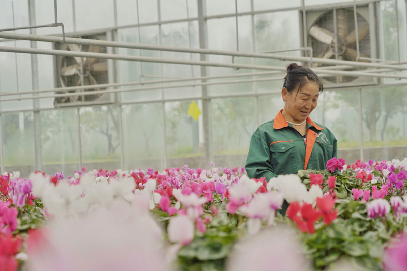 【光明网】【脱贫攻坚地方行】巾帼奋斗绽风采，铿锵玫瑰别样红