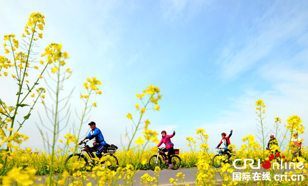 图片默认标题_fororder_邛崃冉义镇万亩花海迎来骑游爱好者（邛崃市委宣传部-供图）