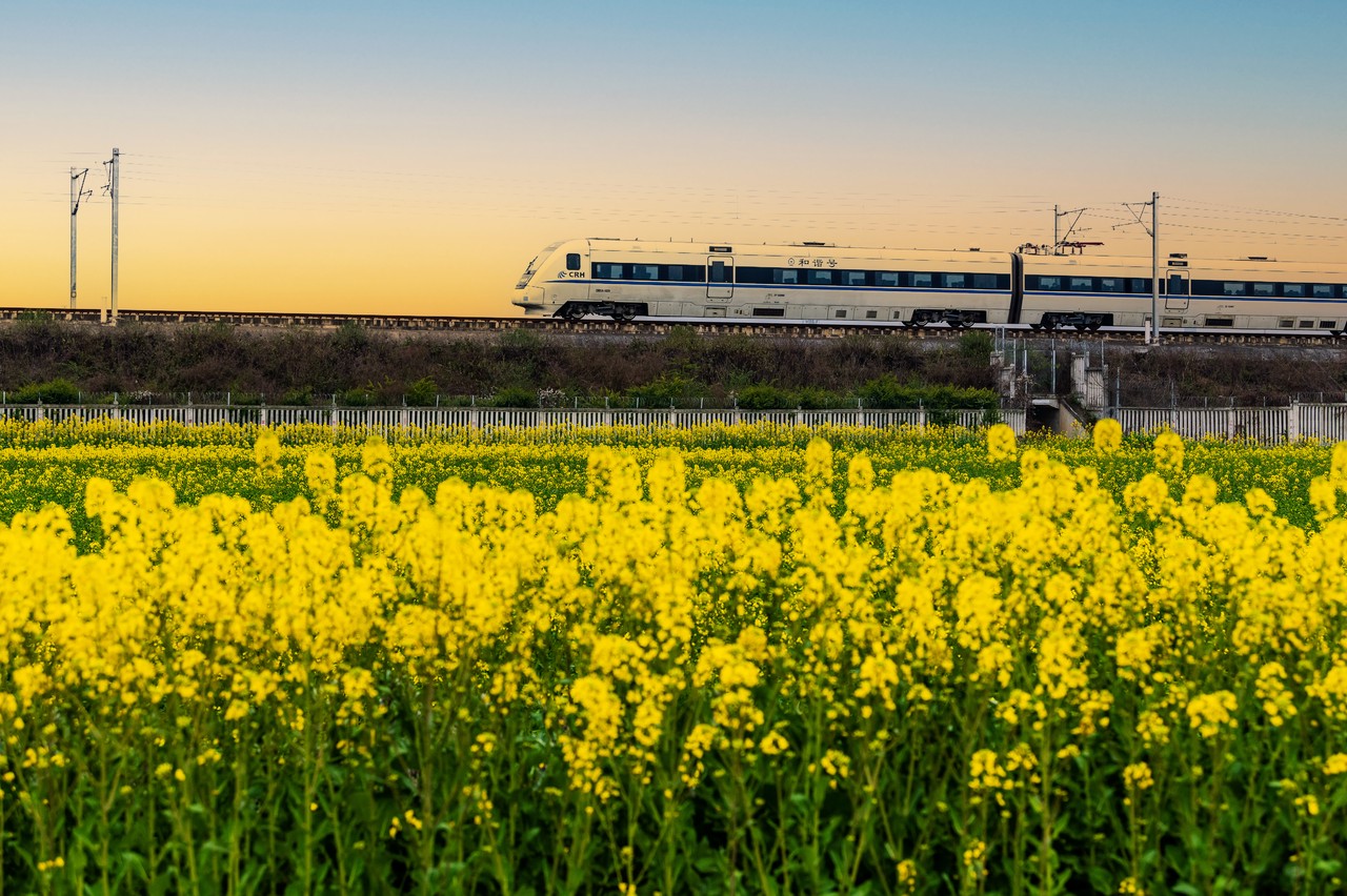 (转载)花重锦城,崇州独占三分春色