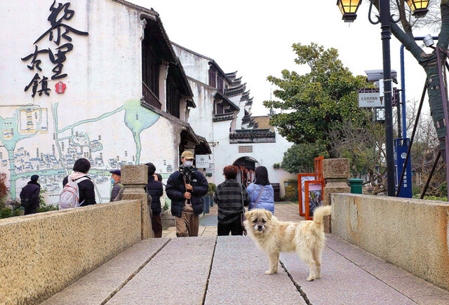 “探秘古镇遗产,体验水乡文化”领略别样黎里之美 “探秘古镇遗产,体验水乡文化”领略别样黎里之美_fororder_5