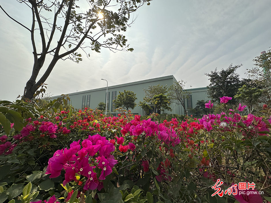 【高质量发展看中国】“绿色花园工厂”领跑低碳高质量发展