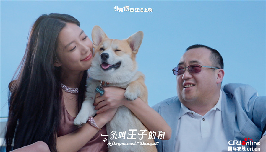 《一条叫王子的狗》发布四格漫画 小短腿的日常萌化人心