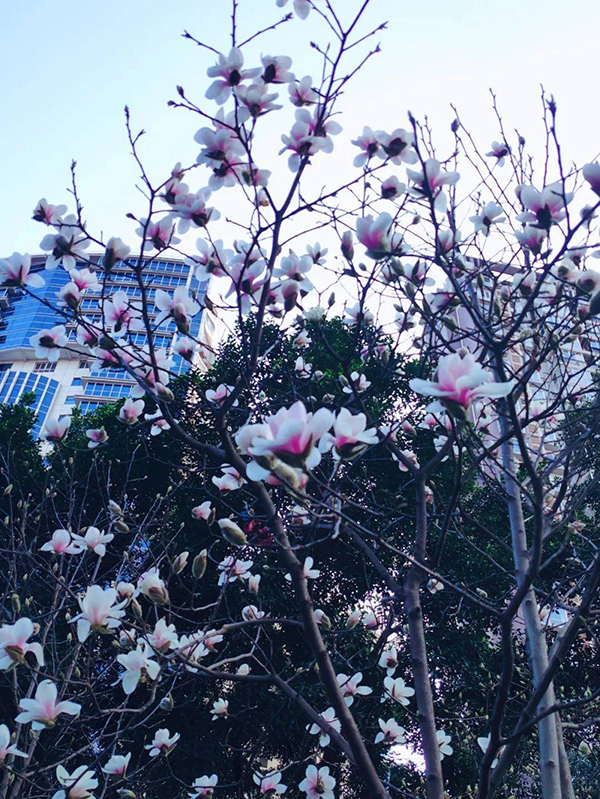 四川资阳:春日时节到来 解锁雁城赏花打卡三地_fororder_a59e4562c5a8130ce7b0049d4268b3fe