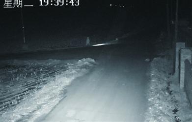 男孩嫌爷爷唠叨出走 零下20多度夜体验荒野求生