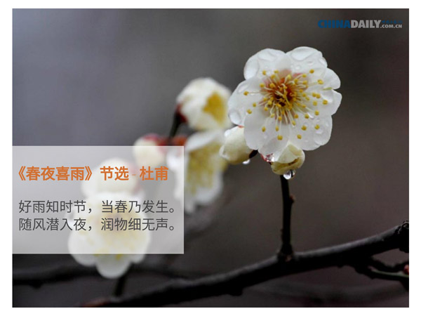 双语：关于春天的五首中国古诗