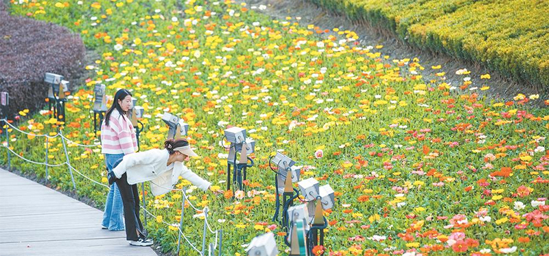 (转载)跟着“赏花热力榜” 花重锦官时畅游大成都_fororder_未标题-1