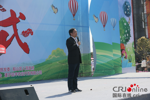 图片默认标题_fororder_遂宁市委常委、宣传部长杨颖讲话